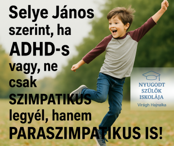 Selye János szerint ne csak szimpatikus legyél