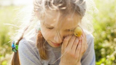 ADHD Kisgyermekkorban: Jelek, Tanácsok és Támogatási Lehetőségek